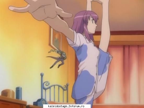 layla sora acrobatia ingerului.