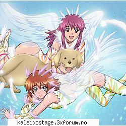 Rosetta - e una din preferatele mele - Rosetta Passel