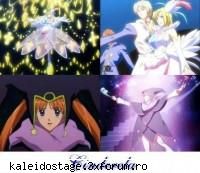 The shows - CRIIYURILEON - Imagini