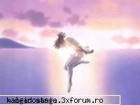 The shows - de la acrobatia ingerului - Imagini