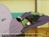 imagini haioase.... - CRIIYURILEON - Imagini